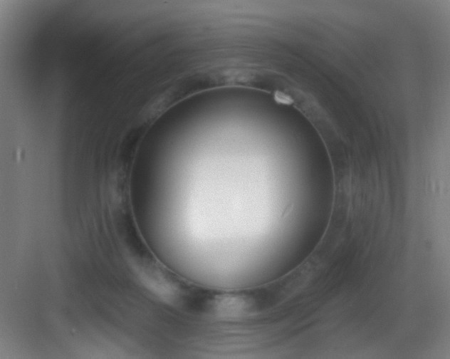 X0000082930218200702081549