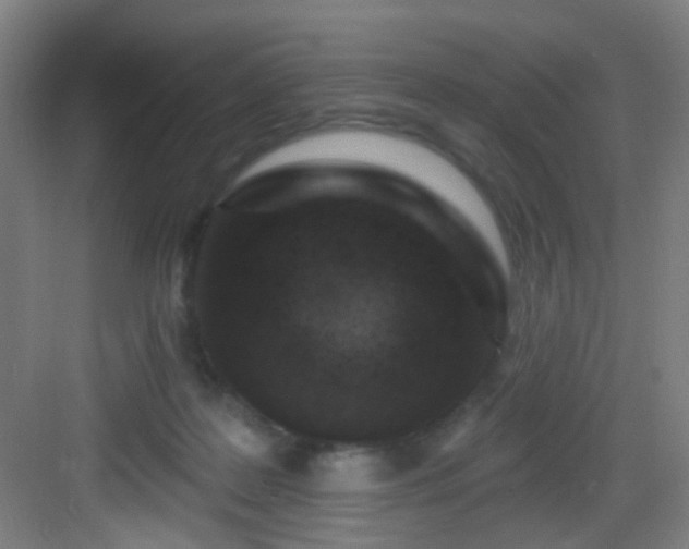 X0000082930219200702081549