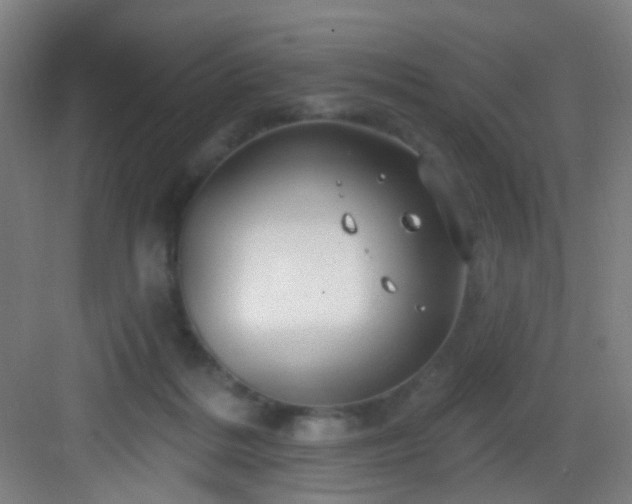 X0000082930220200702081549