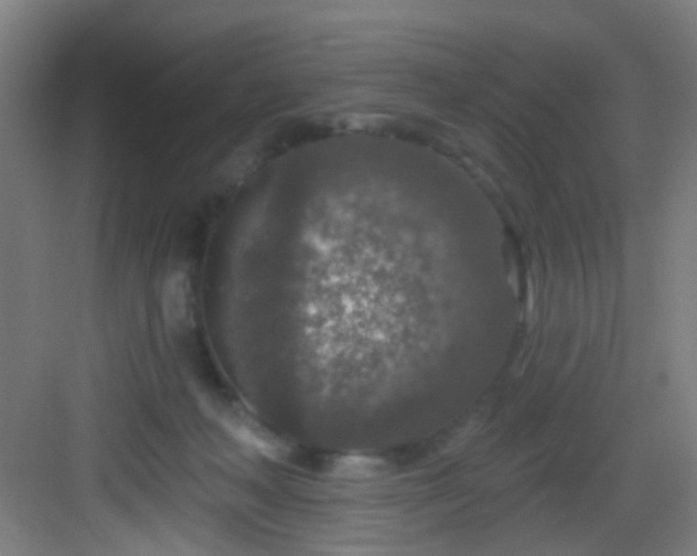 X0000082930222200702081549