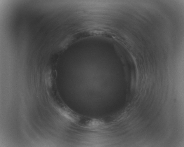 X0000082930223200702081549