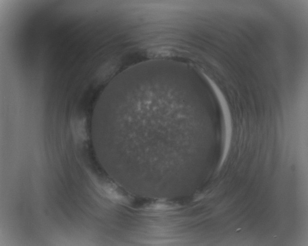 X0000082930224200702081549