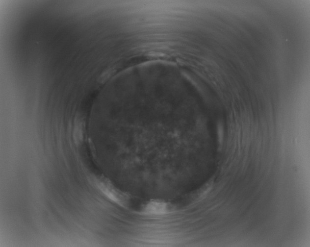 X0000082930227200702081549