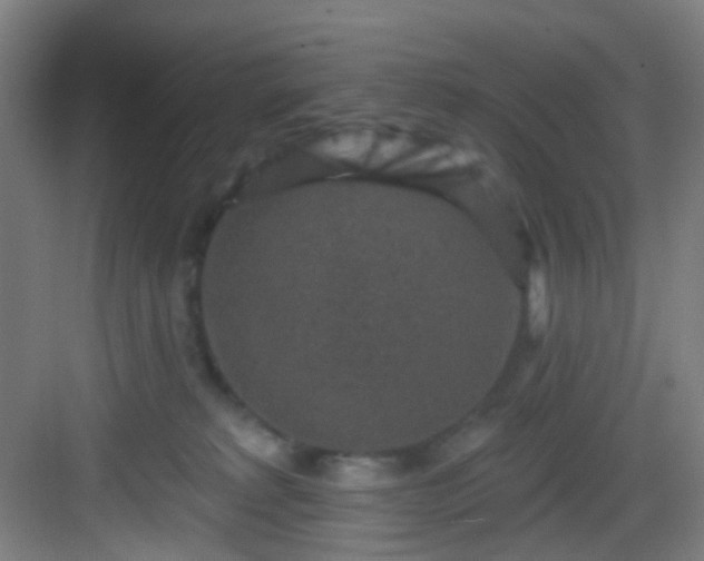 X0000082930229200702081549