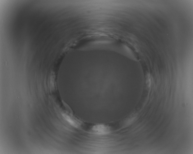 X0000082930231200702081549