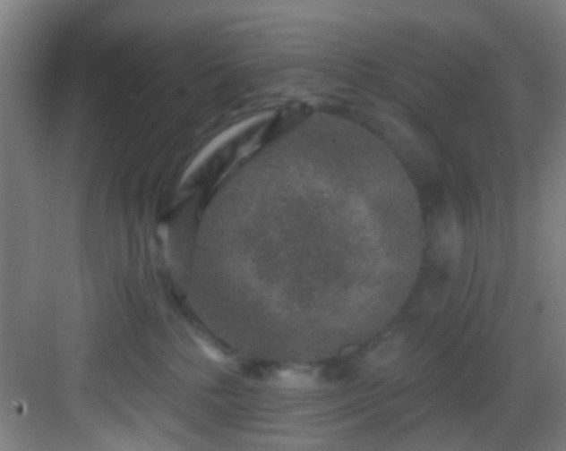 X0000082930232200702081549