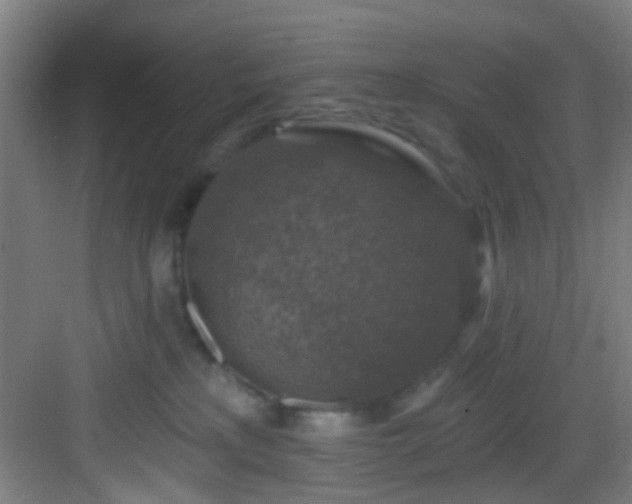 X0000082930233200702081549