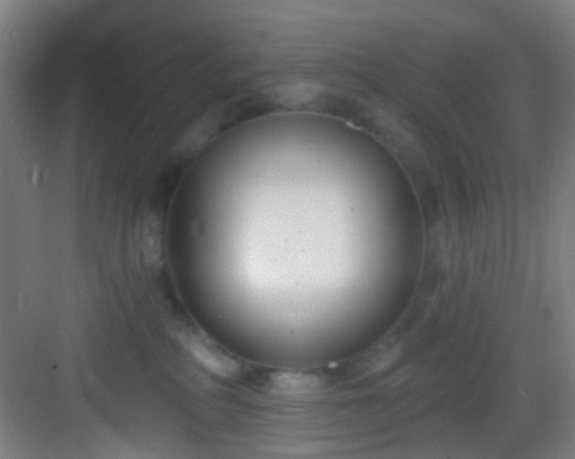 X0000082930234200702081549