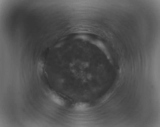 X0000082930235200702081549