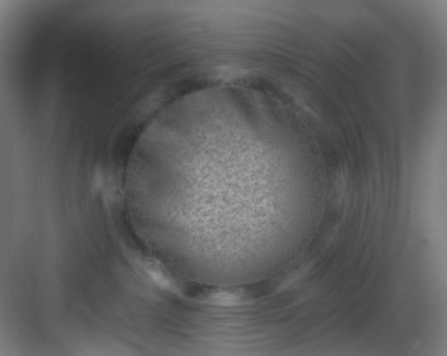 X0000082930236200702081549