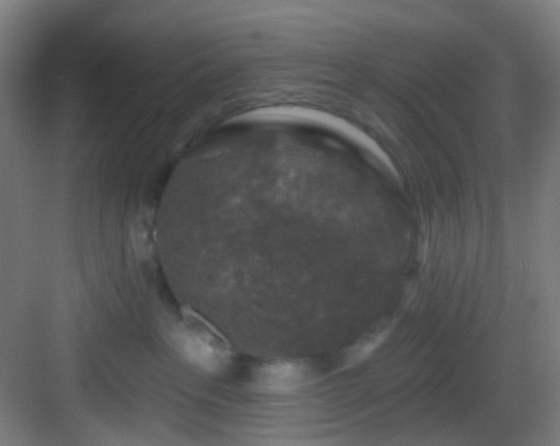 X0000082930237200702081549