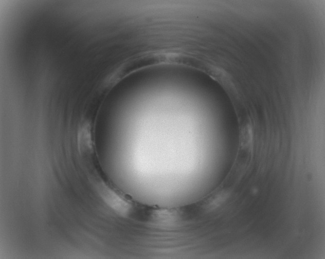 X0000082930238200702081549