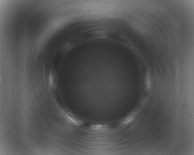 X0000082930239200702081549