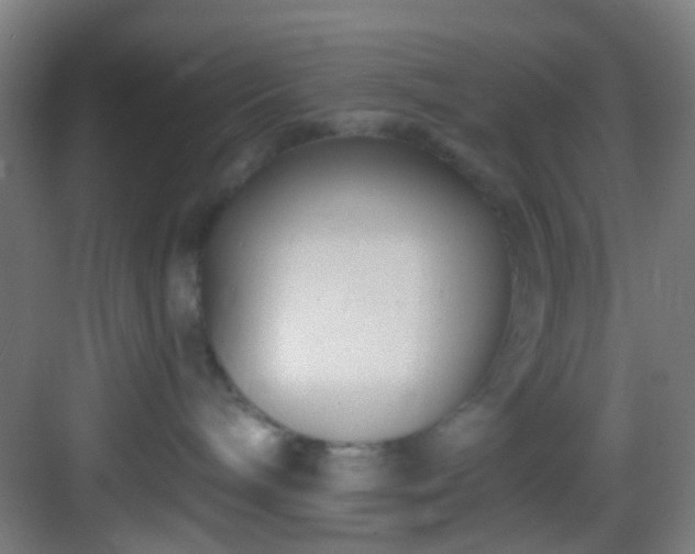 X0000082930240200702081549