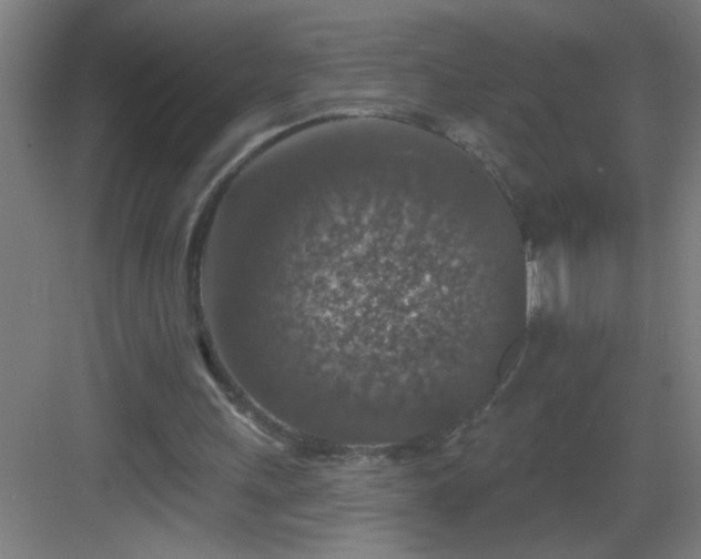 X0000082930243200702081548