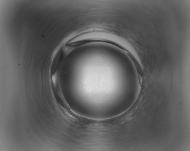 X0000082930244200702081548