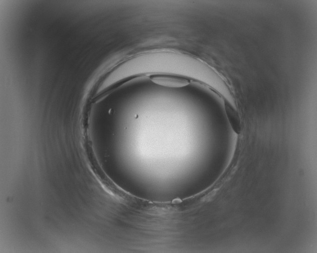 X0000082930245200702081548