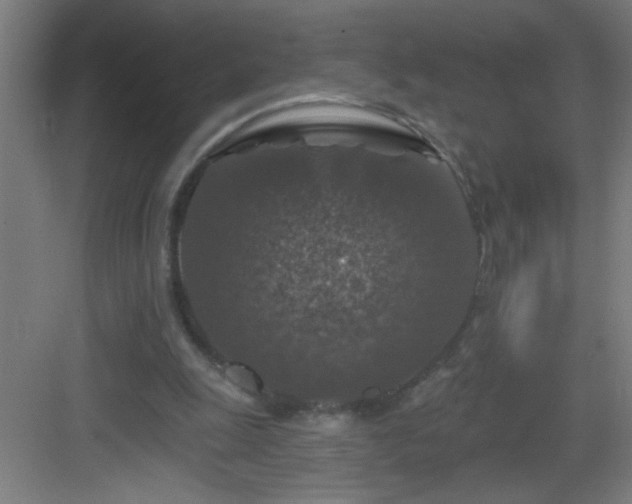 X0000082930247200702081548