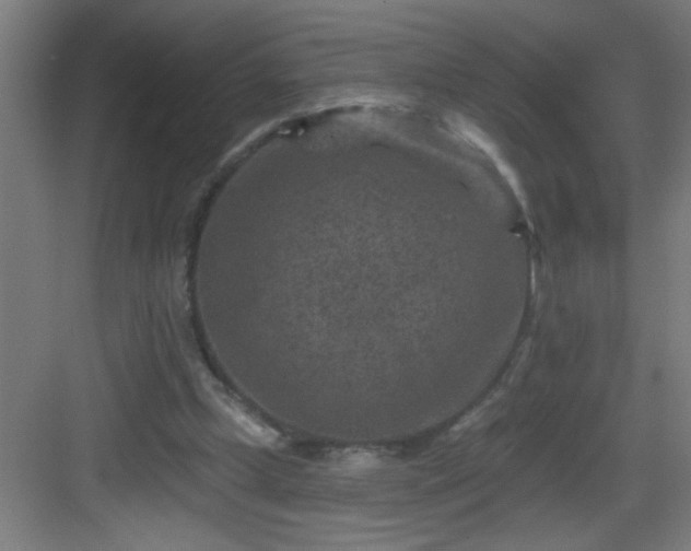 X0000082930249200702081548