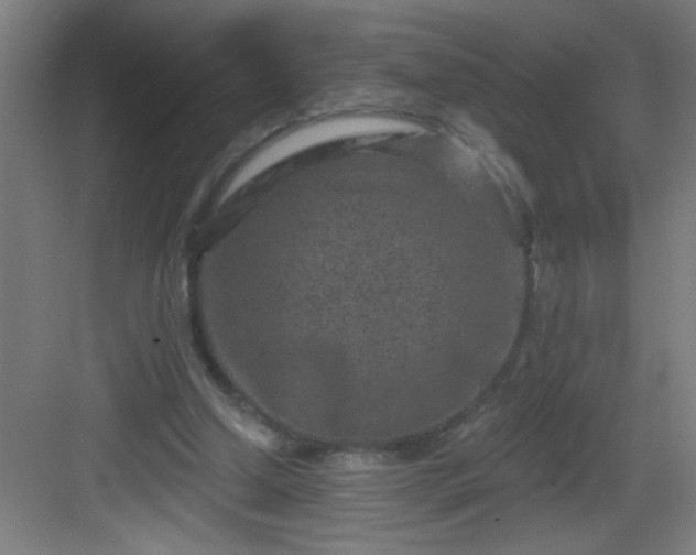 X0000082930250200702081548