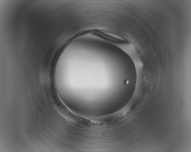 X0000082930252200702081548