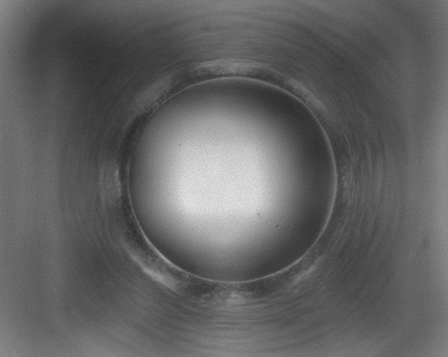 X0000082930254200702081548