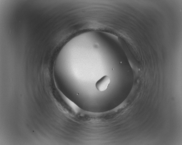 X0000082930256200702081548