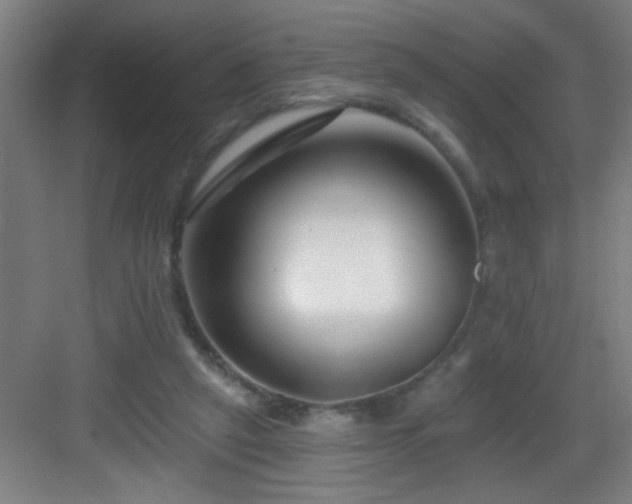 X0000082930257200702081548