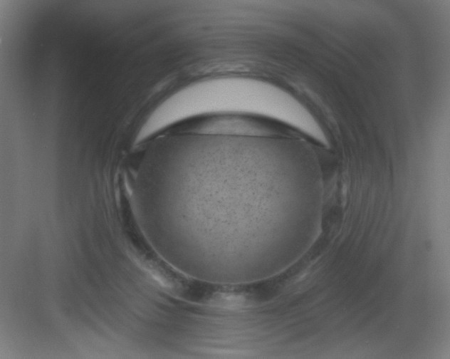 X0000082930260200702081548