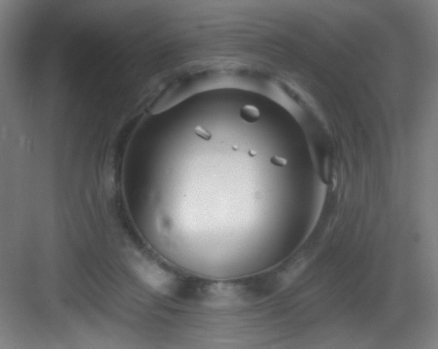 X0000082930261200702081548