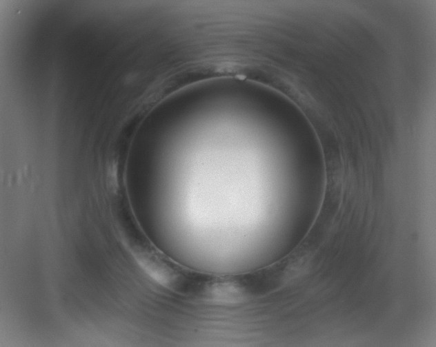 X0000082930262200702081548