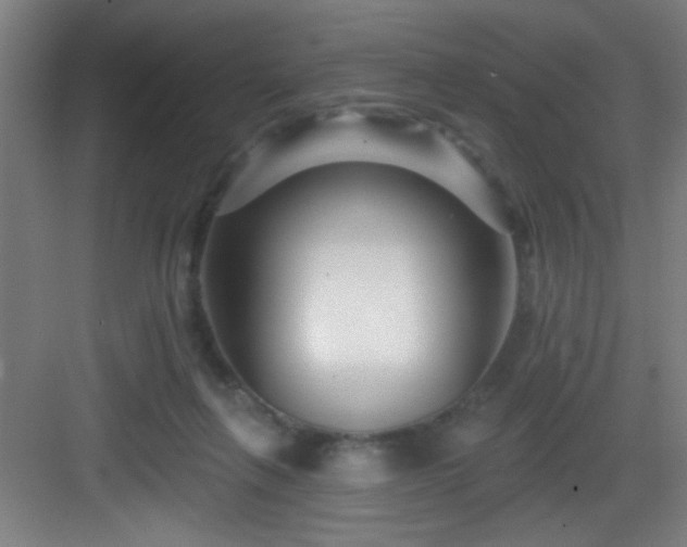 X0000082930263200702081548