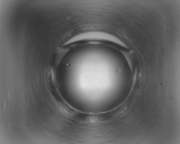 X0000082930264200702081548