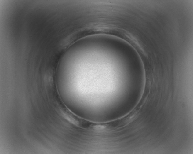 X0000082930265200702081549