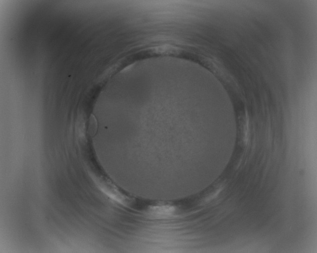 X0000082930266200702081549