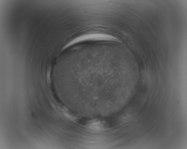 X0000082930267200702081549