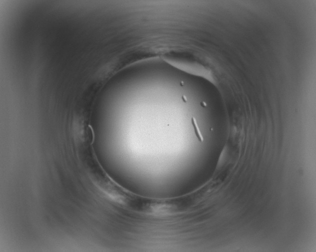 X0000082930268200702081549