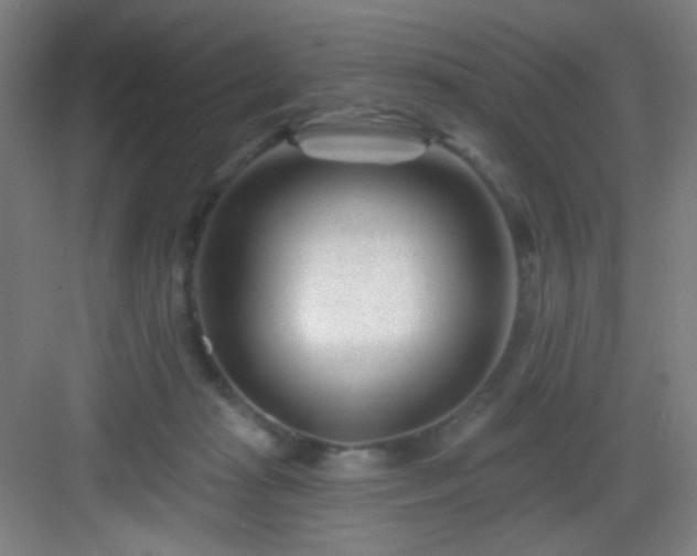 X0000082930269200702081549