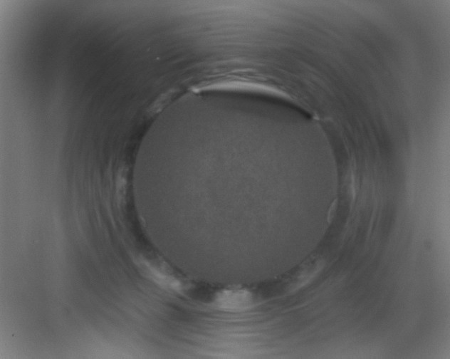 X0000082930271200702081549