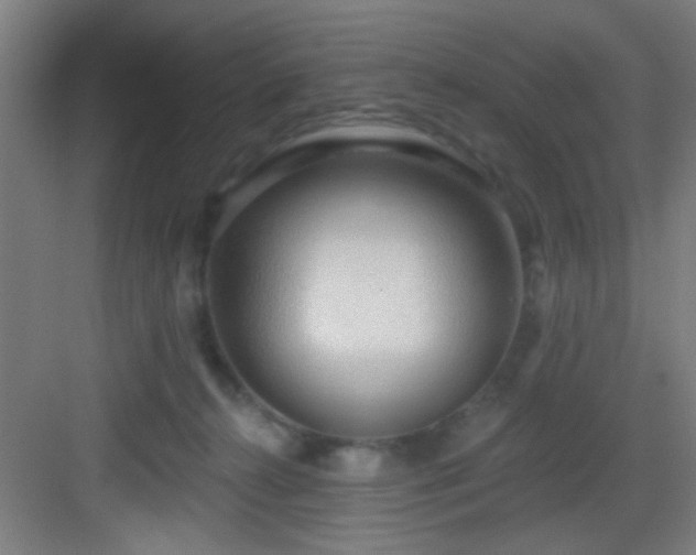 X0000082930272200702081549