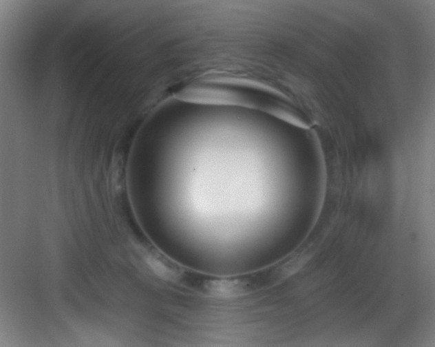 X0000082930273200702081549