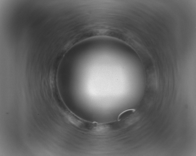 X0000082930274200702081549