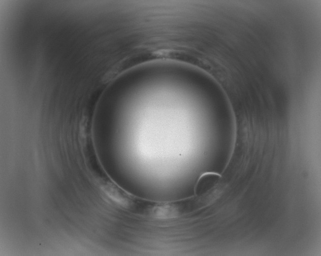 X0000082930275200702081549