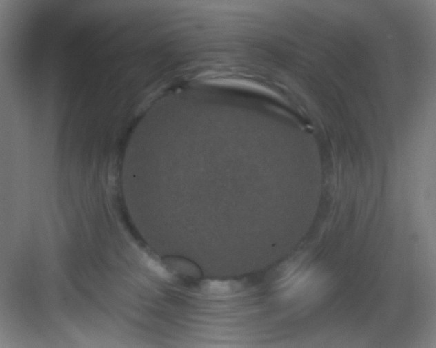 X0000082930277200702081549