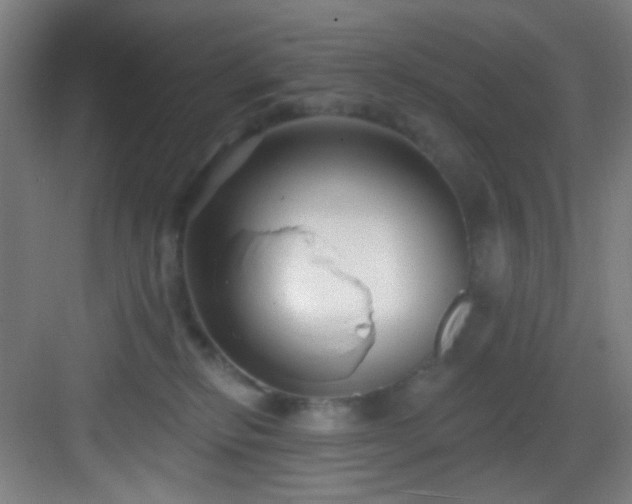 X0000082930278200702081549