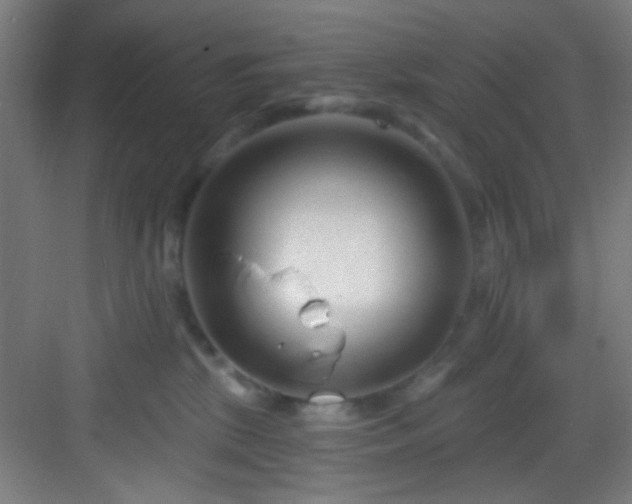 X0000082930281200702081549