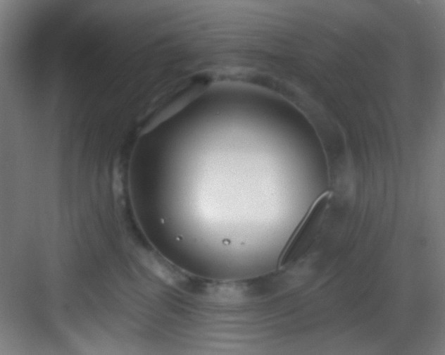 X0000082930282200702081549