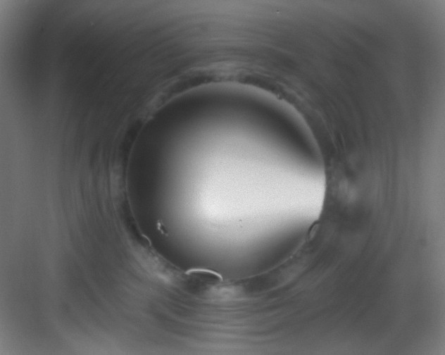 X0000082930283200702081549