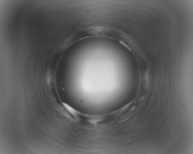 X0000082930284200702081549