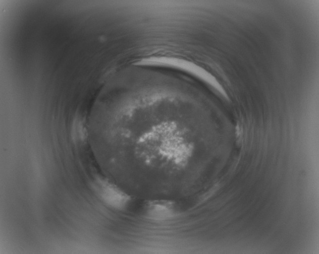 X0000082930285200702081549